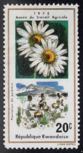 RWANDA Scott 632 Unused flower stamp