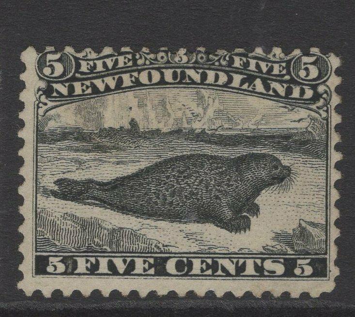 NEWFOUNDLAND SG38 1868 5c BLACK MTD MINT