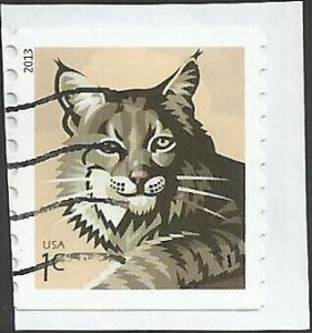 # 4802 USED BOBCAT