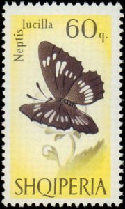 Albania #922-929, Complete Set(8), 1966, Butterflies, Never Hinged