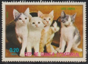 1019 Cats - 1976