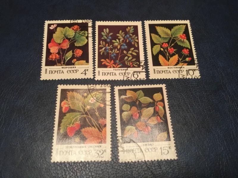 ICOLLECTZONE Russia #5023-27 Flower Set VF Used (Bk1-31)