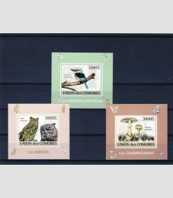 COMORO ISLANDS 2009 Birds & Mushrooms 3 Deluxe s/s Imperforated mnh.vf