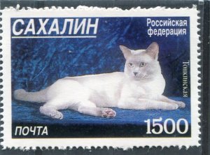 Noyta 1998 Russia Local DOMESTIC CAT 1 value Perforated Mint (NH)