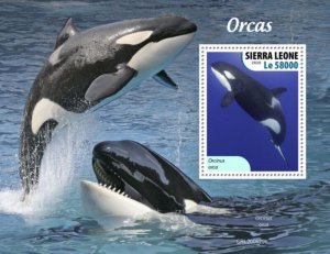 Sierra Leone - 2020 Killer Whales Orcas - Stamp Souvenir Sheet - SRL200529b