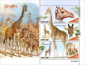 SIERRA LEONE - 2022 - Giraffes - Perf 3v Sheet  - Mint Never Hinged