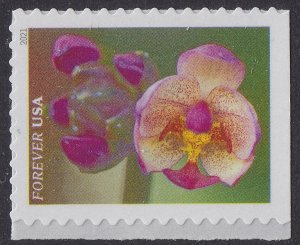 US 5558-5567 Garden Beauty forever set (10 stamps) MNH 2021