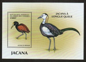 Comoro Stamp 854  - Birds