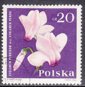 Poland 1279 Cyclamen 1964