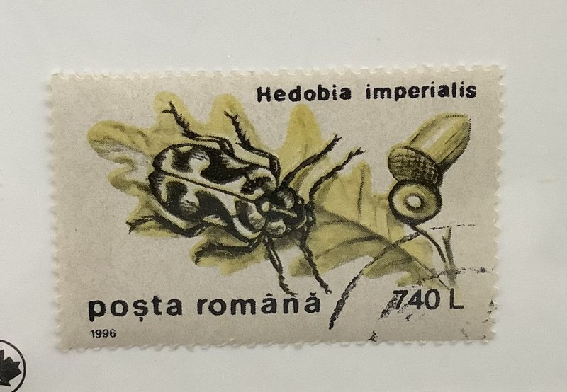 Romania 1996 Scott 4087  CTO -  740 l,  insects