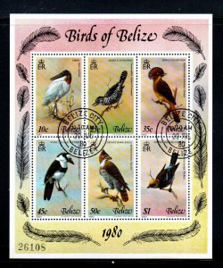 Belize 500 Used