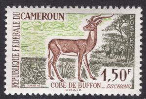 CAMEROUN SCOTT 360