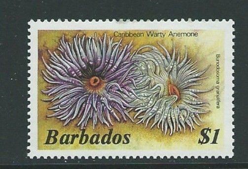 BARBADOS SG775a 1985 $1 CARIBBEAN WARTY ANEMORE MNH