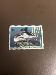 US RW61 Federal Duck Stamp - mint never hinged - very nice 1994 stamp