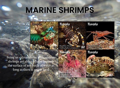 [ BB 20625-09 ] 2020 - TUVALU - MARINE SHRIMPS           5V    MNH **