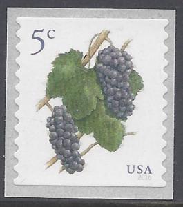 #5038 5c Grapes Coil Single 2016 Mint NH