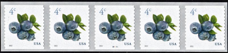 SC#5653 4¢ Blueberries Coil Plate Strip of Five: #B111111 (2022) SA