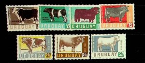 URUGUAY Sc C290-6 NH ISSUE OF 1966 - ANIMALS - BULLS - (AO23)