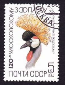 Russia 5229 Moscow Zoo Used CTO Single