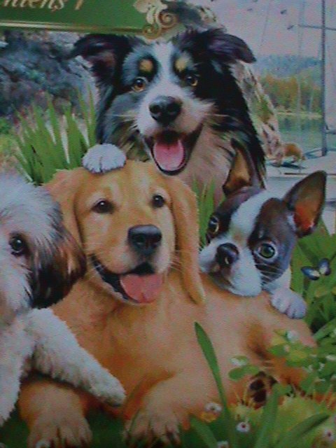 ​MADAGASCAR-2022-PROMOTE-LOVELY DOGS-CTO-SHEET-EST.$12 VF LAST ONE  CTO SHEET