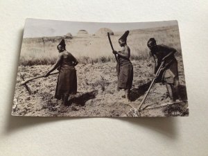 Germiston South Africa 1913 to France Locals working fields postcard   Ref A395