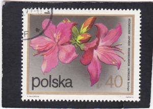 POLAND,  #  1935     used