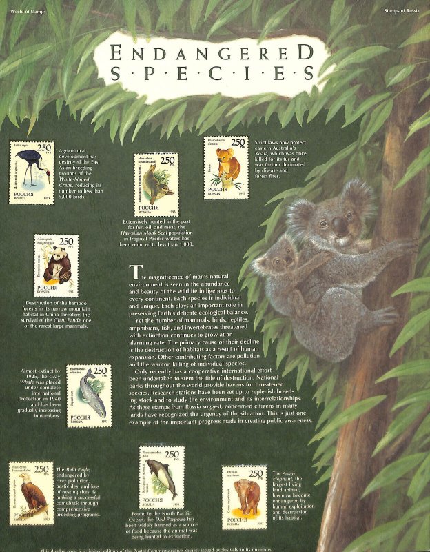 Postal Commemorative Society Stamp Panel MNH, Russia, Endangered Species Animals