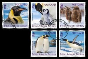 2024/01- BRITISH ANTARCTIC - EMPEROR PENGUINS ADH    5V complet set