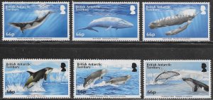 British Antarctic Territory Scott #'s 501 - 506 MNH