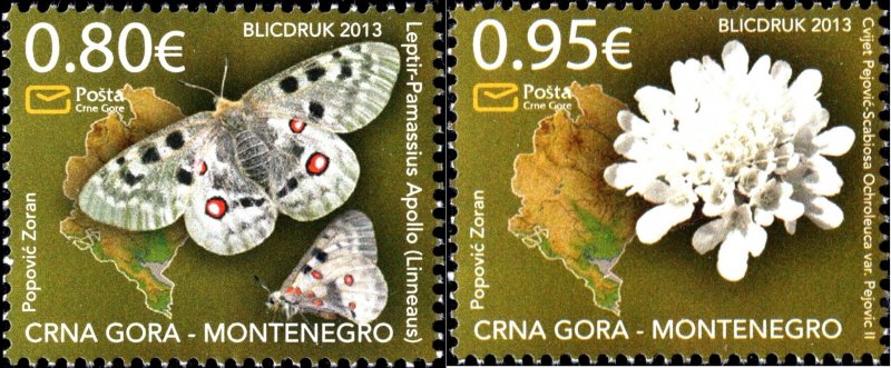 Montenegro 2013 MNH Stamps Scott 337-338 Flowers Butterflies