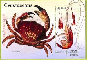 B0507 - LIBERIA - MISPERF ERROR Stamp Sheet - 2022 - Crustaceans-