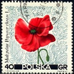 Flower, Poppy, Poland stamp SC#1523 used