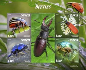 Liberia - 2020 Beetles on Stamps - 4 Stamp Sheet - LIB200227a