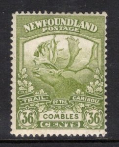 Newfoundland 126 V MH