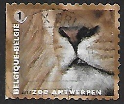 Belgium # 2646 - Antwerp Zoo - Lion - used -{BLW8}