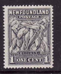 Newfoundland-Sc#184- id7-unused hinged 1c Codfish-1932-37-