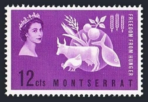 Montserrat 150,block/4-margin,MLH/MNH.Michel 151. FAO 1963.Freedom from Hunger.