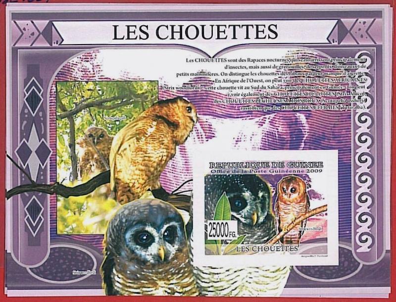 FRENCH GUINEA - ERROR, 2009 IMPERF SHEET: BIRDS, OWLS, Animals