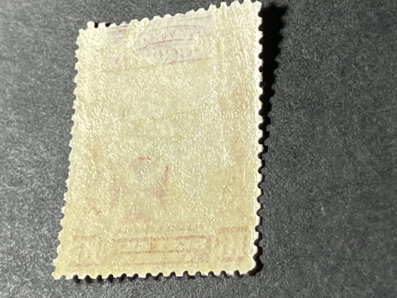 NORTH BORNEO # B10--USED**THIN**---SINGLE-RED BROWN--SEMI-POSTAL---1916