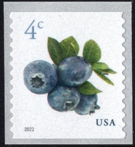 SC#5653 4¢ Blueberries Coil Single (2022) SA