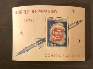 Paraguay Scott #751a never hinged