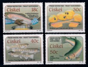 [66050] Ciskei 1989 Marine Life Fish Trout  MLH