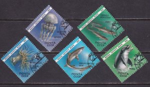 Russia 1991 Sc 5954-8 Marine Life Stamp CTO