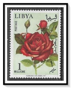 Libya #284 Rose Used