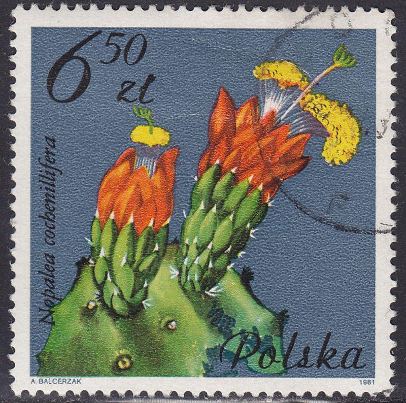 Poland 2498 USED 1981 Nopalea Cochenillifera Flower