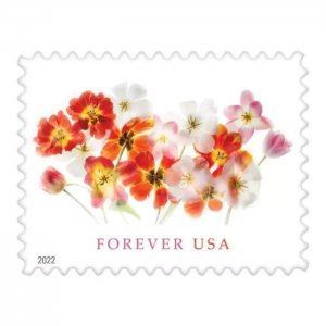 2022 Tulips Forever First Class Postage Stamps | Flowers  (5 Sheets, 100 Stamps)