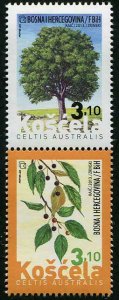 HERRICKSTAMP BOSNIA (CROAT ADMIN) Sc.# 293 Flora 2013 (Nettle Tree)