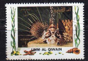 Umm al Qiwain (Unlisted) - CTO - Lionfish