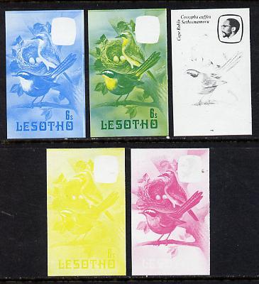 Lesotho 1982 Cape Robin Chat 6s the set of 5 imperf progr...