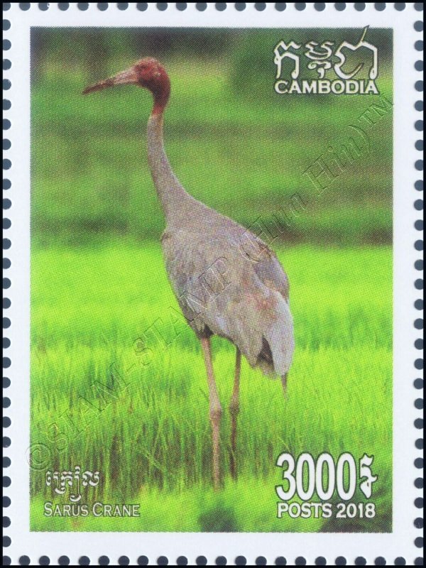 Birds (IX) (MNH)